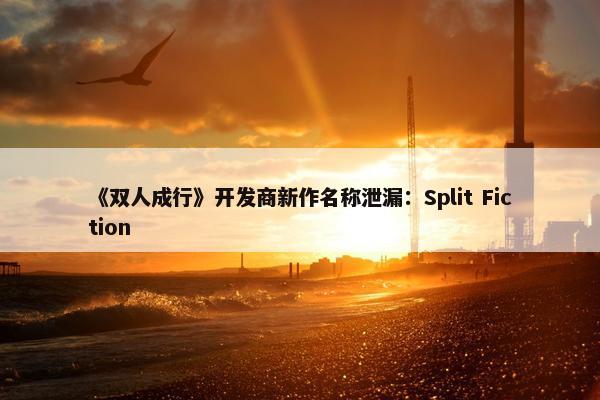 《双人成行》开发商新作名称泄漏：Split Fiction