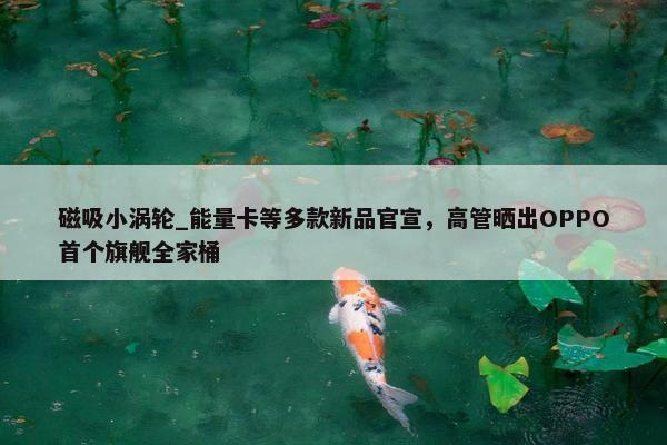 磁吸小涡轮_能量卡等多款新品官宣，高管晒出OPPO首个旗舰全家桶