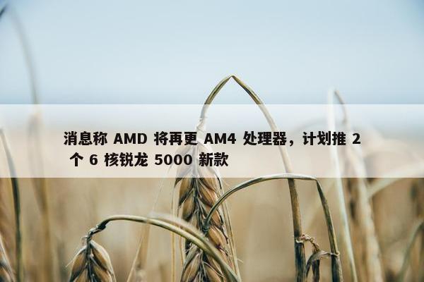 消息称 AMD 将再更 AM4 处理器，计划推 2 个 6 核锐龙 5000 新款