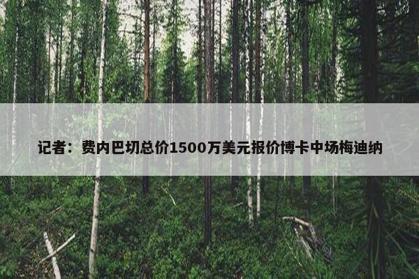 记者：费内巴切总价1500万美元报价博卡中场梅迪纳