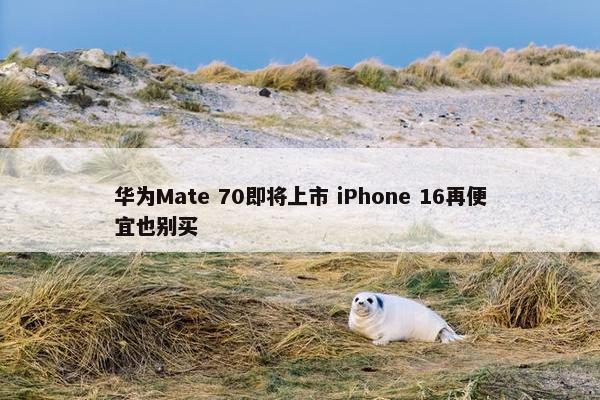 华为Mate 70即将上市 iPhone 16再便宜也别买