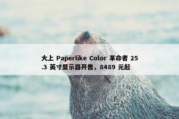 大上 Paperlike Color 革命者 25.3 英寸显示器开售，8489 元起