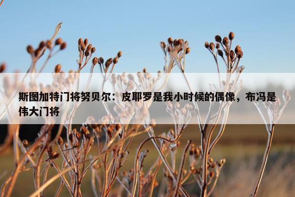 斯图加特门将努贝尔：皮耶罗是我小时候的偶像，布冯是伟大门将