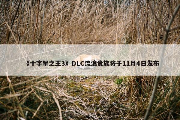 《十字军之王3》DLC流浪贵族将于11月4日发布