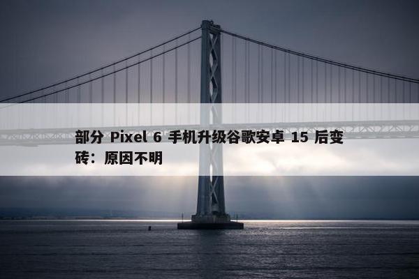 部分 Pixel 6 手机升级谷歌安卓 15 后变砖：原因不明