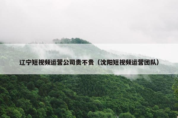 辽宁短视频运营公司贵不贵（沈阳短视频运营团队）