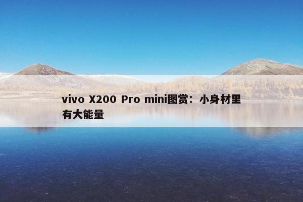 vivo X200 Pro mini图赏：小身材里有大能量