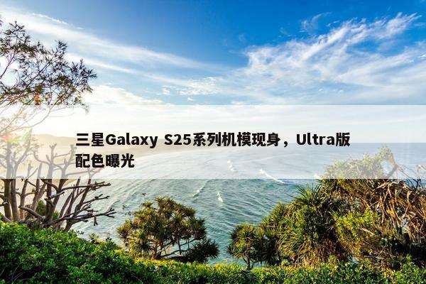 三星Galaxy S25系列机模现身，Ultra版配色曝光