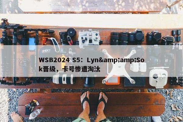 WSB2024 S5：Lyn&Sok晋级，卡号惨遭淘汰