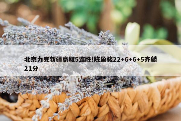 北京力克新疆豪取5连胜!陈盈骏22+6+6+5齐麟21分