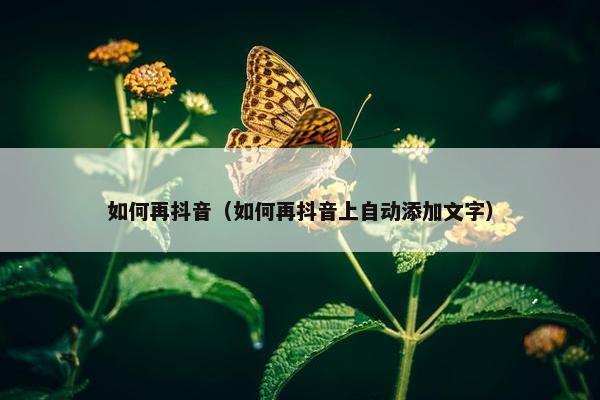 如何再抖音（如何再抖音上自动添加文字）