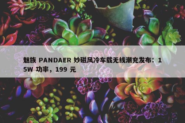 魅族 PANDAER 妙磁风冷车载无线潮充发布：15W 功率，199 元