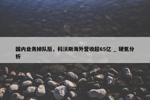 国内业务掉队后，科沃斯海外营收超65亿 _ 硬氪分析