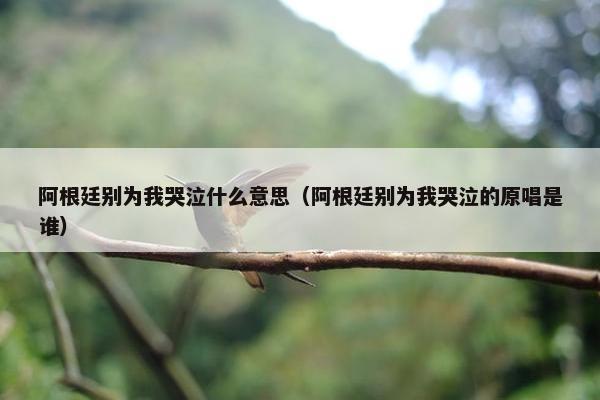 阿根廷别为我哭泣什么意思（阿根廷别为我哭泣的原唱是谁）