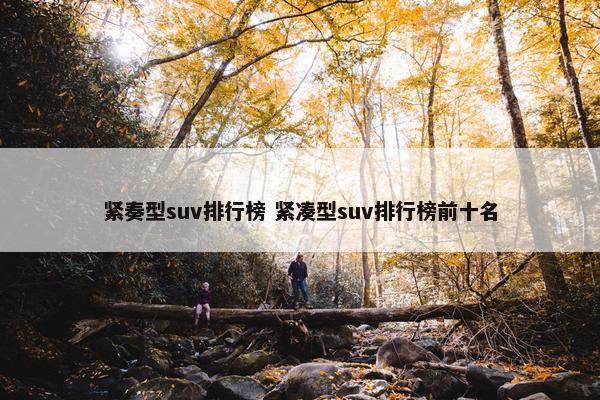 紧奏型suv排行榜 紧凑型suv排行榜前十名