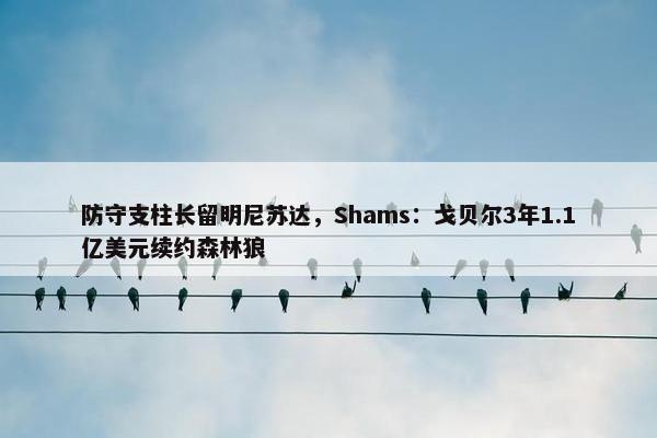 防守支柱长留明尼苏达，Shams：戈贝尔3年1.1亿美元续约森林狼