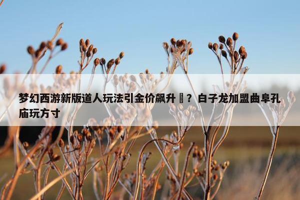 梦幻西游新版道人玩法引金价飙升​？白子龙加盟曲阜孔庙玩方寸