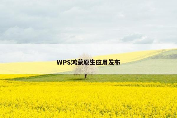 WPS鸿蒙原生应用发布