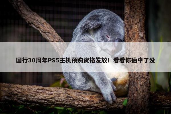 国行30周年PS5主机预购资格发放！看看你抽中了没