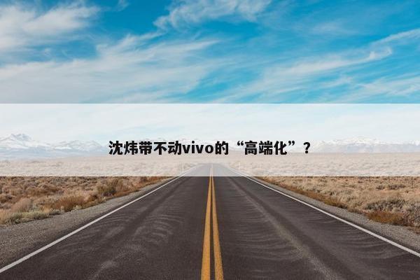 沈炜带不动vivo的“高端化”？