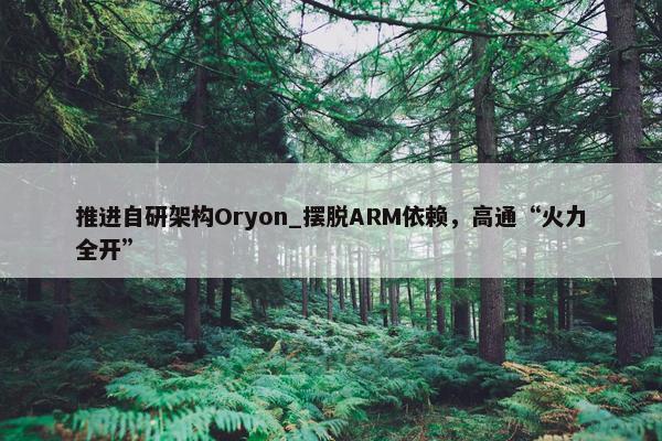 推进自研架构Oryon_摆脱ARM依赖，高通“火力全开”