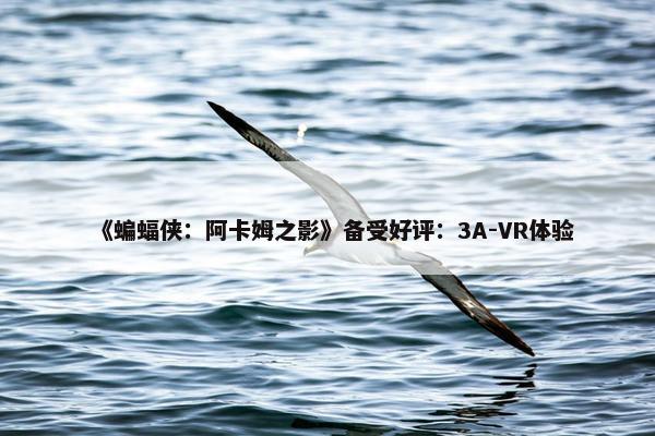 《蝙蝠侠：阿卡姆之影》备受好评：3A-VR体验