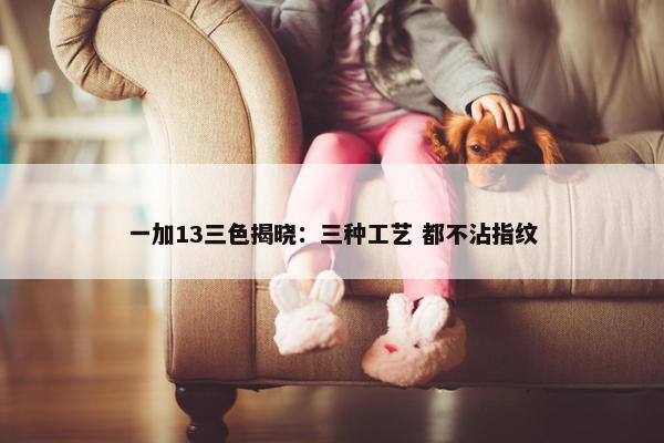 一加13三色揭晓：三种工艺 都不沾指纹