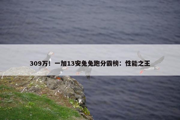 309万！一加13安兔兔跑分霸榜：性能之王