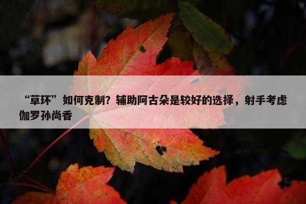 “草环”如何克制？辅助阿古朵是较好的选择，射手考虑伽罗孙尚香