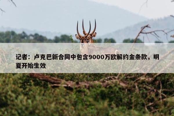 记者：卢克巴新合同中包含9000万欧解约金条款，明夏开始生效