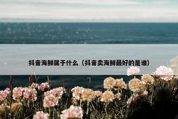 抖音海鲜属于什么（抖音卖海鲜最好的是谁）