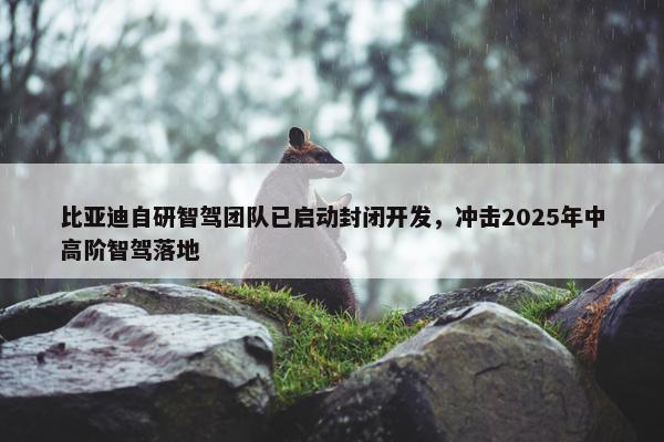 比亚迪自研智驾团队已启动封闭开发，冲击2025年中高阶智驾落地