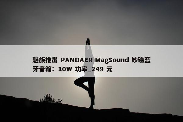 魅族推出 PANDAER MagSound 妙磁蓝牙音箱：10W 功率_249 元