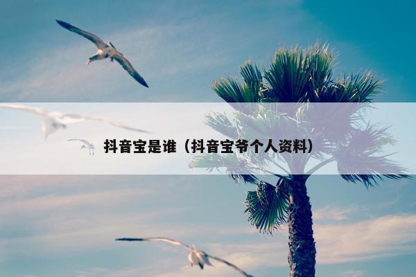 抖音宝是谁（抖音宝爷个人资料）