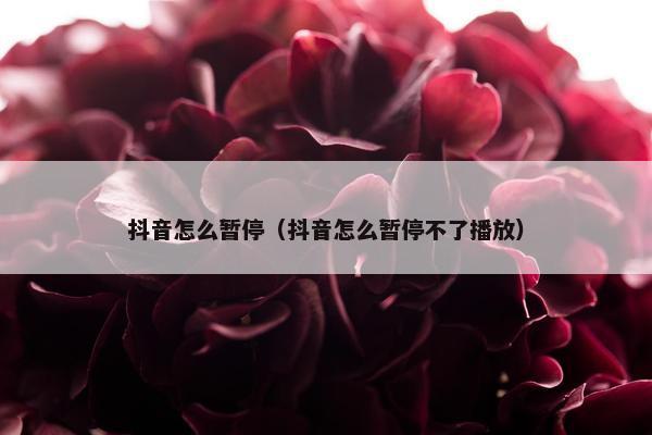 抖音怎么暂停（抖音怎么暂停不了播放）