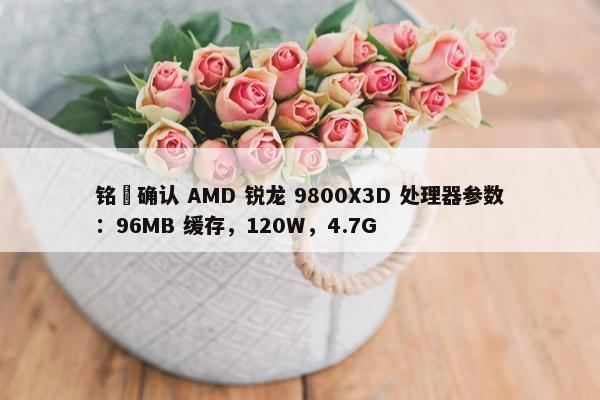 铭瑄确认 AMD 锐龙 9800X3D 处理器参数：96MB 缓存，120W，4.7G