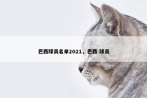 巴西球员名单2021，巴西 球员