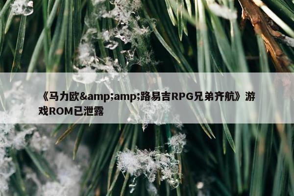 《马力欧&路易吉RPG兄弟齐航》游戏ROM已泄露