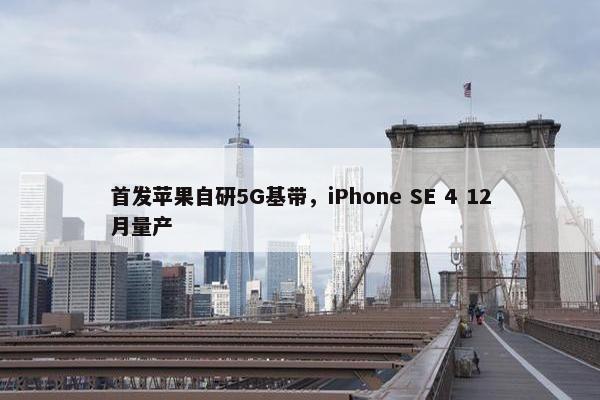 首发苹果自研5G基带，iPhone SE 4 12月量产