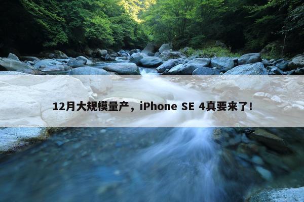 12月大规模量产，iPhone SE 4真要来了！