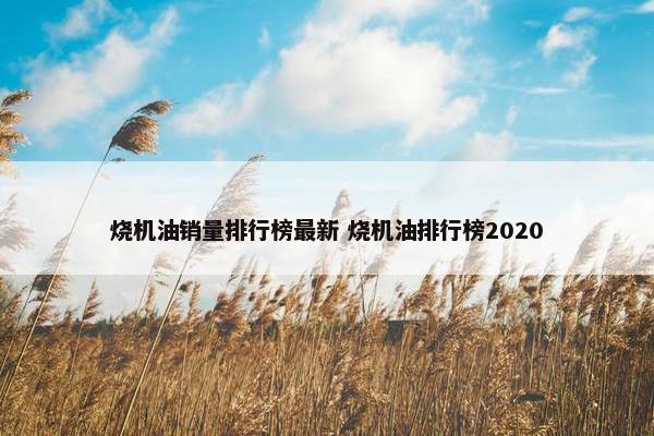 烧机油销量排行榜最新 烧机油排行榜2020