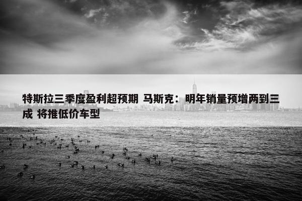 特斯拉三季度盈利超预期 马斯克：明年销量预增两到三成 将推低价车型