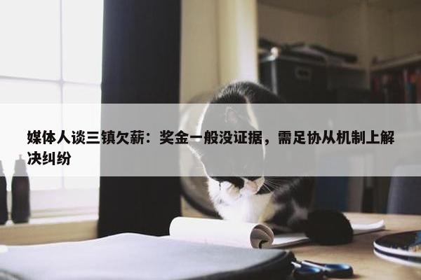 媒体人谈三镇欠薪：奖金一般没证据，需足协从机制上解决纠纷