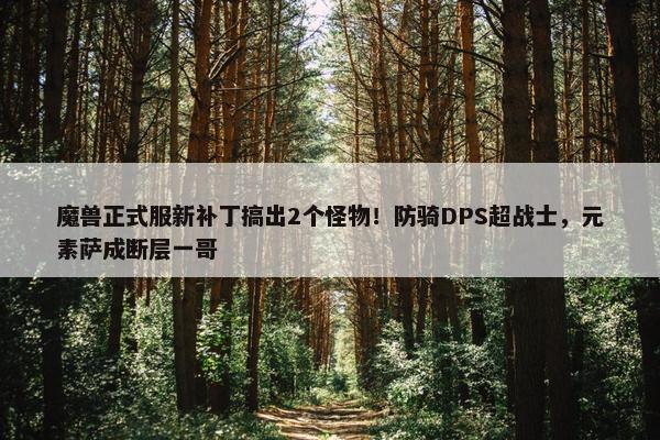 魔兽正式服新补丁搞出2个怪物！防骑DPS超战士，元素萨成断层一哥