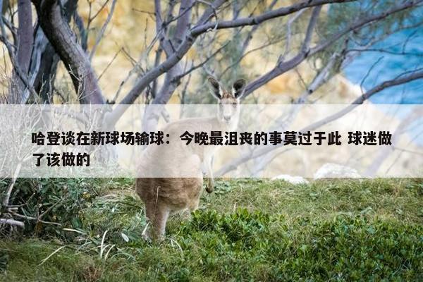 哈登谈在新球场输球：今晚最沮丧的事莫过于此 球迷做了该做的