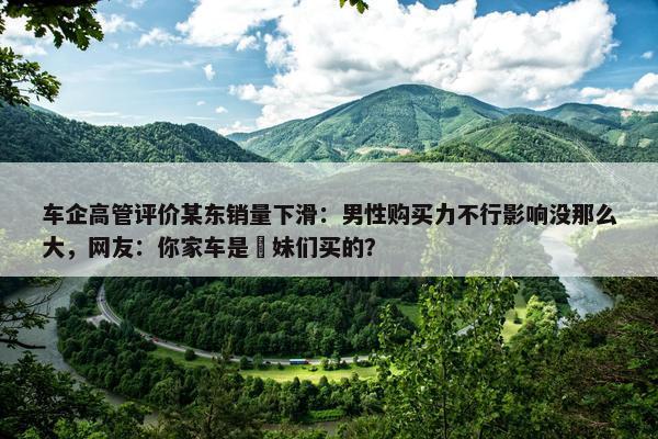 车企高管评价某东销量下滑：男性购买力不行影响没那么大，网友：你家车是媎妹们买的？