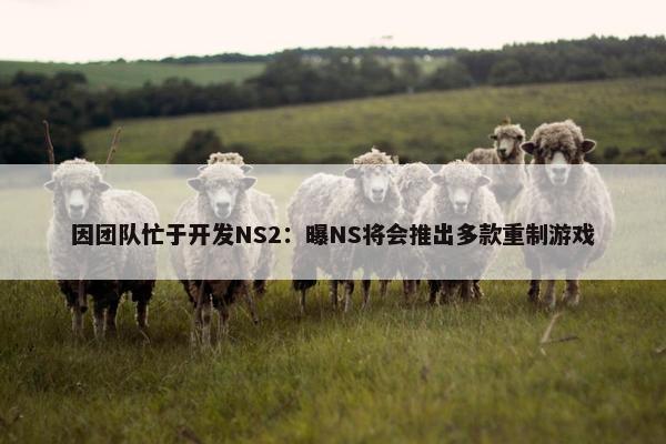 因团队忙于开发NS2：曝NS将会推出多款重制游戏