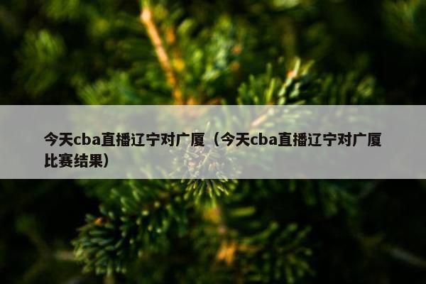 今天cba直播辽宁对广厦（今天cba直播辽宁对广厦比赛结果）