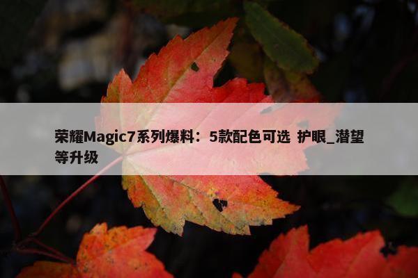 荣耀Magic7系列爆料：5款配色可选 护眼_潜望等升级