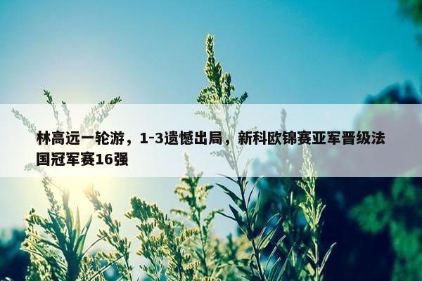 林高远一轮游，1-3遗憾出局，新科欧锦赛亚军晋级法国冠军赛16强